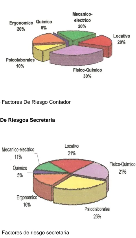 Figura 4 – Factores De Riesgo Contador 
