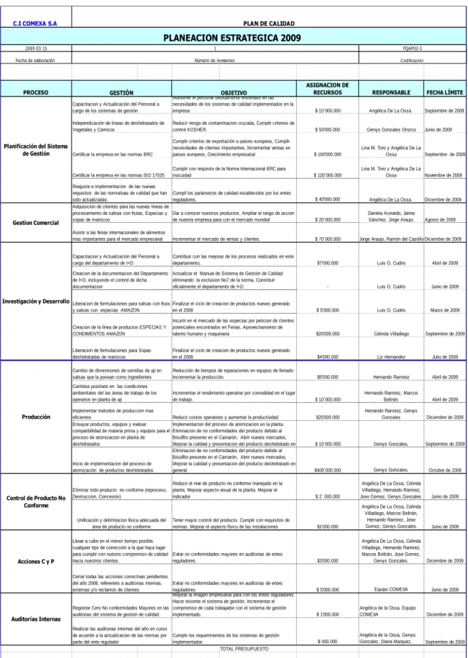 Tabla 5. Plan Estratégico de la Compañía 