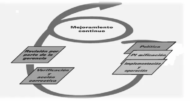 Figura 1.  Elementos de una gestión exitosa de S &amp; SO 