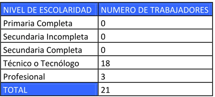 Tabla 2. Total de Trabajadores por Niveles de Escolaridad: 