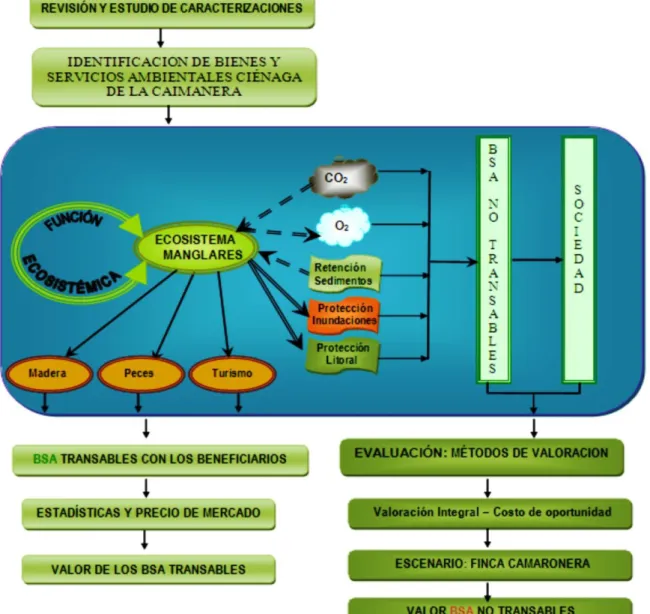 Figura  2.  Metodología  para  la  valoración  de  los  BSA  de  la  ciénaga  de  la  Caimanera