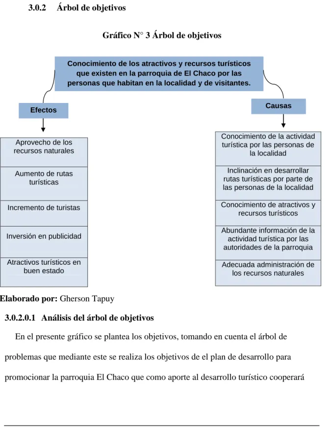 Gráfico N° 3 Árbol de objetivos 