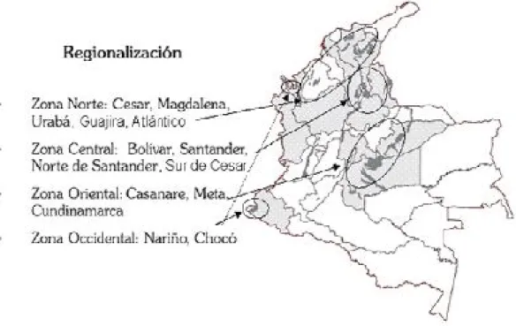 Figura 4. Cultivos de palmas de aceite en Colombia. 
