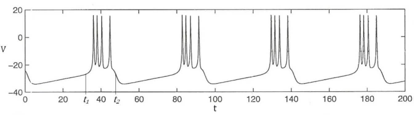 Figura 4.1: Square-wave burstring (oscilador cuadrado).