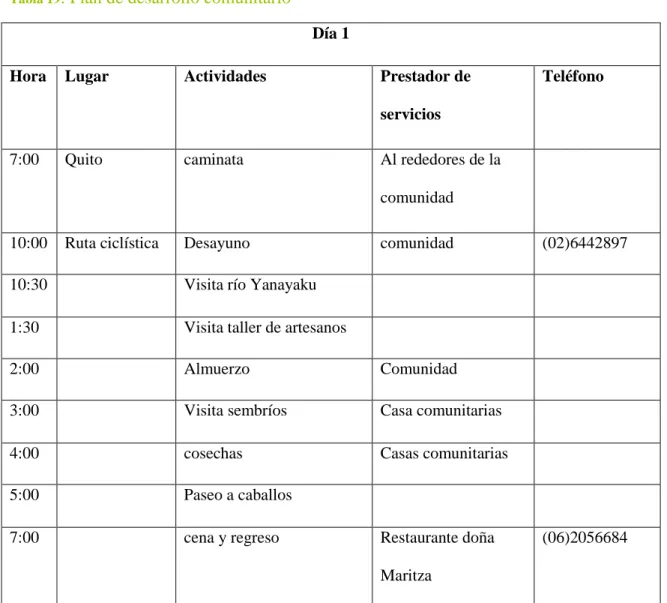 Tabla 19 : Plan de desarrollo comunitario 