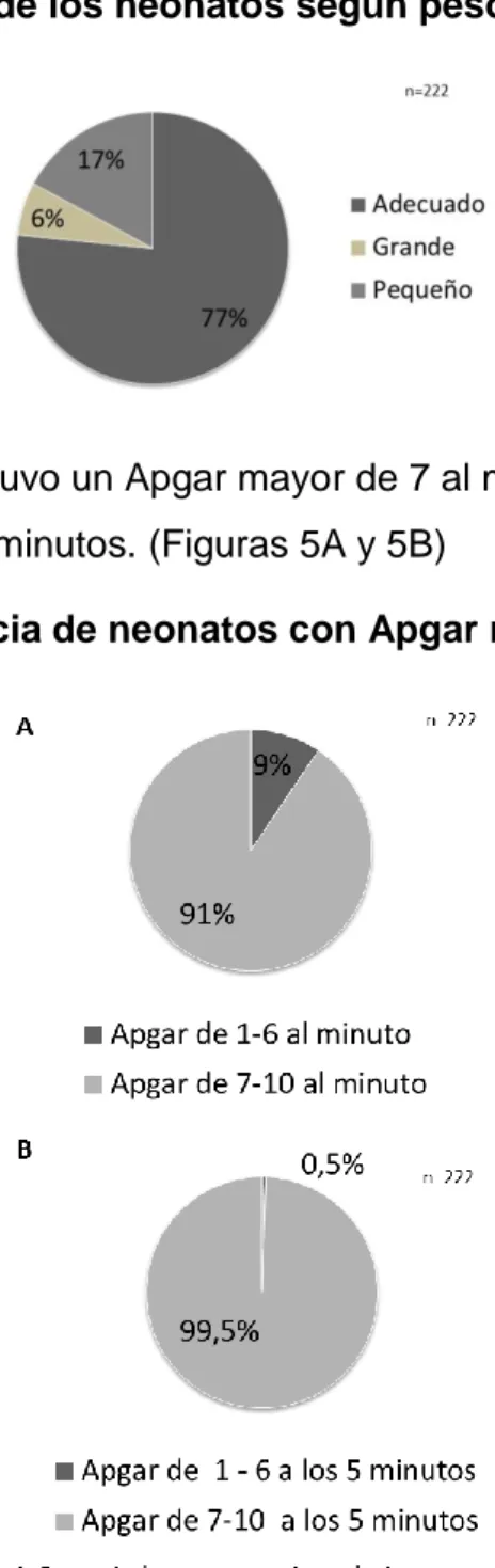 Figura 4. Clasificación de los neonatos según peso para edad gestacional. 