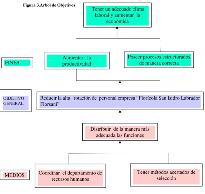 Figura 3.Arbol de Objetivos