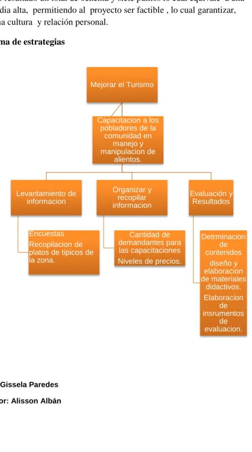 Figura 4  Estrategias    
