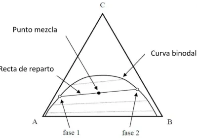 Fig. 3. Diagrama de equilibrio ternario para un sistema líquido-líquido. 
