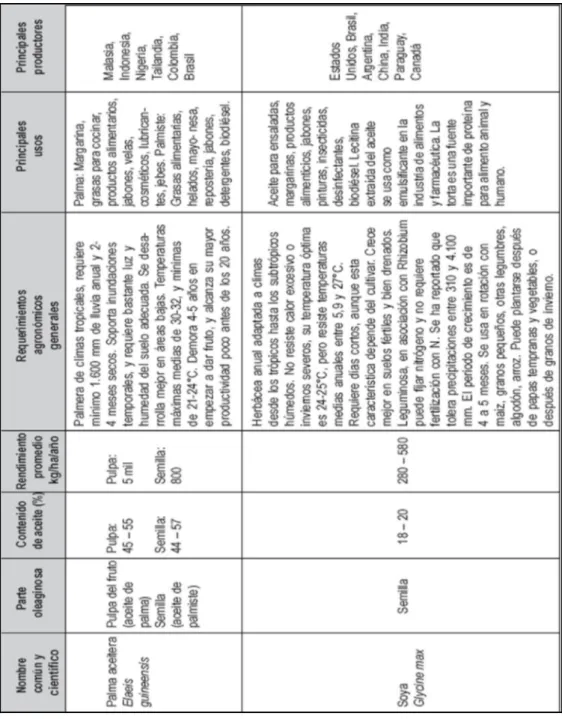 Tabla  2.  Principales  cultivos  oleaginosos  y  sus  características  agronómicas.  Fuente:  Dorsa  (2004);  Poku  (2002);  Lawson  (1994); Heller (1996); Rehm y Espig (1991); Duke (1983); FAOSTAT