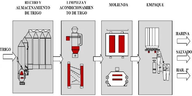 Figura 2. Descripción Esquemática del Proceso de Producción Harina de Trigo. 