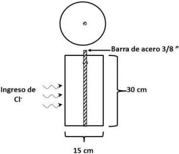 Figura 2. Esquema de la probeta de hormigón con barras de acero 