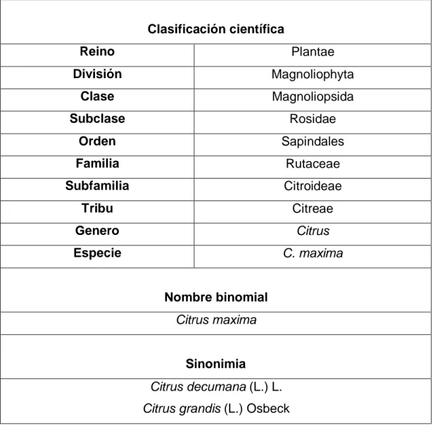 Tabla 2. Clasificación científica del pomelo (C. maxima) 