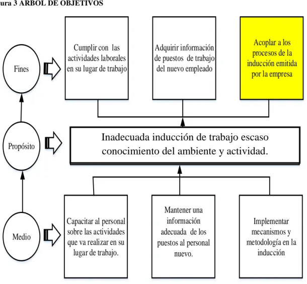 Figura 3 ÁRBOL DE OBJETIVOS 