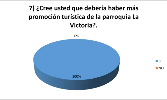 Gráfico 11