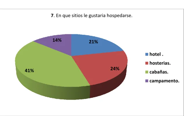 Gráfico N° 12 