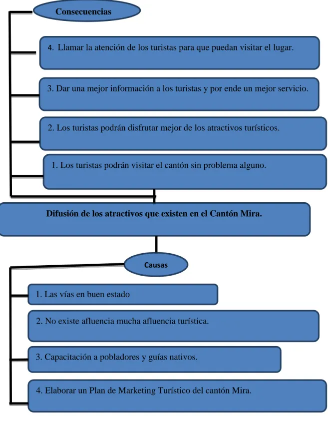 Tabla 4. Árbol de objetivos 