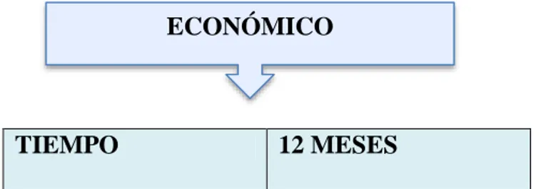 Tabla 11. Económico 