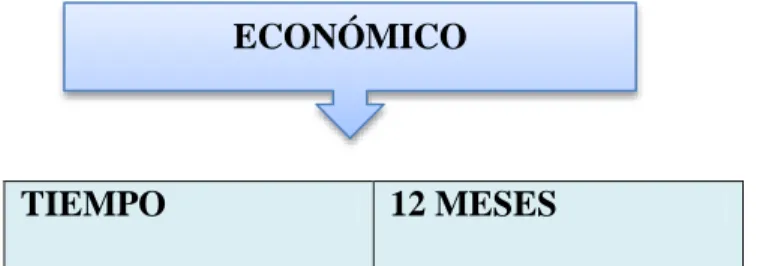 Tabla 11. Económico 