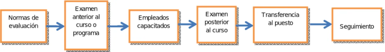 Figura 2. Pasos para la Evaluación de la Capacitación y Desarrollo 