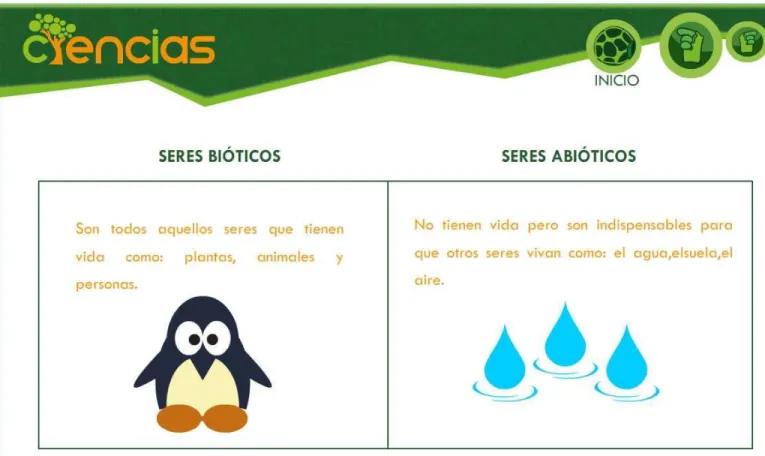 Gráfico N.: 11 