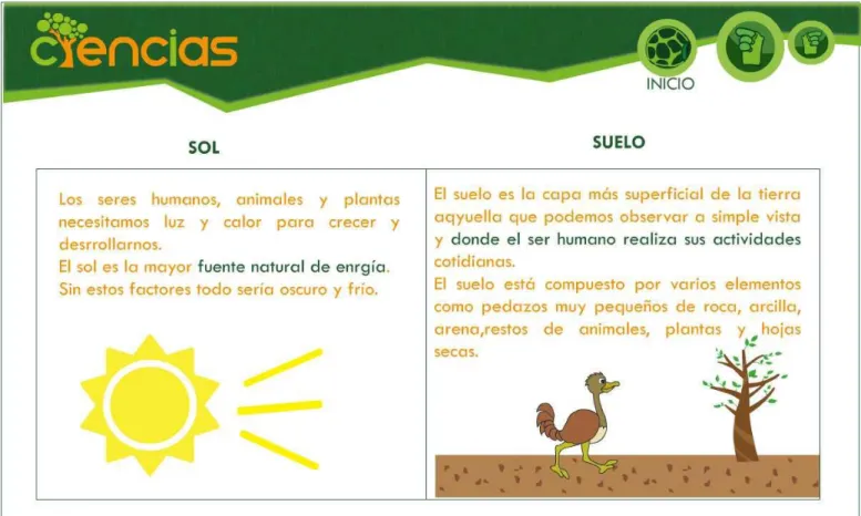 Gráfico N.: 15 