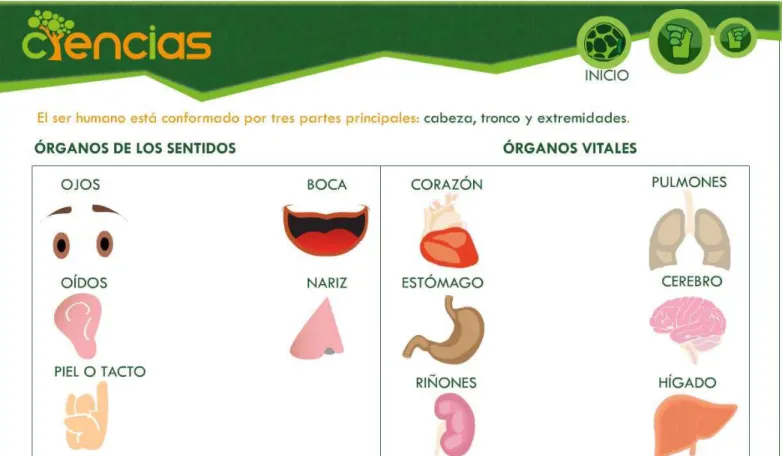 Gráfico N.: 16 