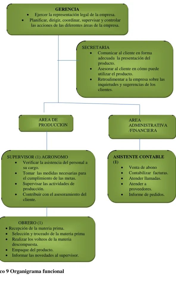 Gráfico 9 Organigrama funcional 
