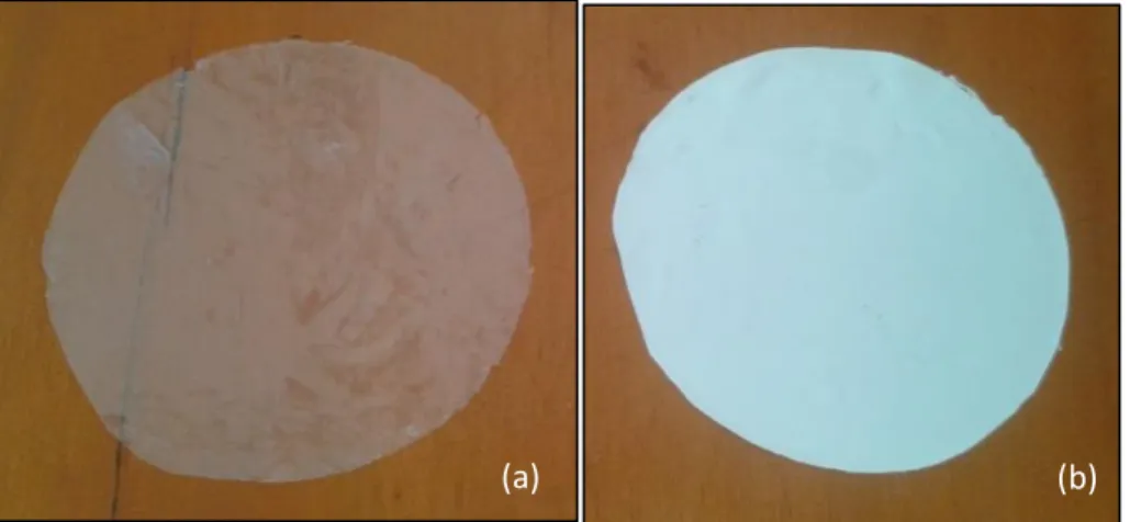 Figura 7. Membranas sulfonadas. 