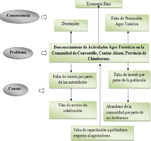 Figura 4. Árbol de Problemas 