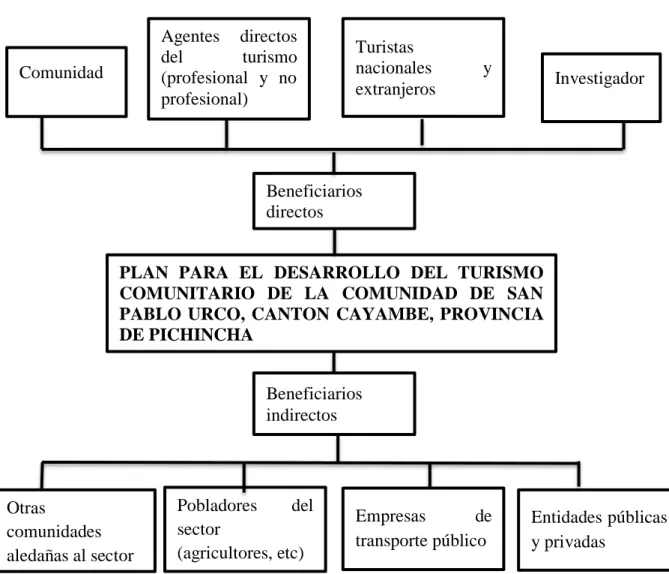 Gráfico  Nº1 mapeo de involucrados  