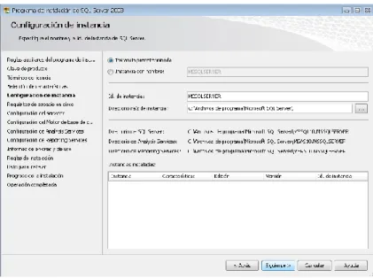 Figura 17: Configuración de Instancia 
