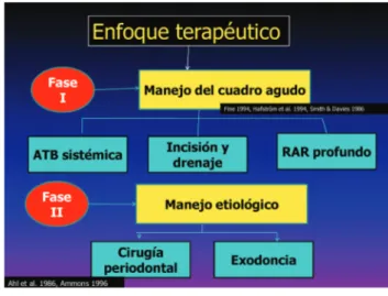 Figura 6. Enfoque terapéutico de 2 fases de los ab- ab-scesos periodontales.