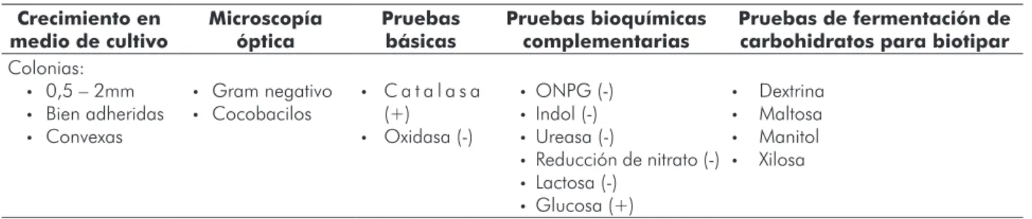 Tabla 1. Características microbiológicas del A.a.