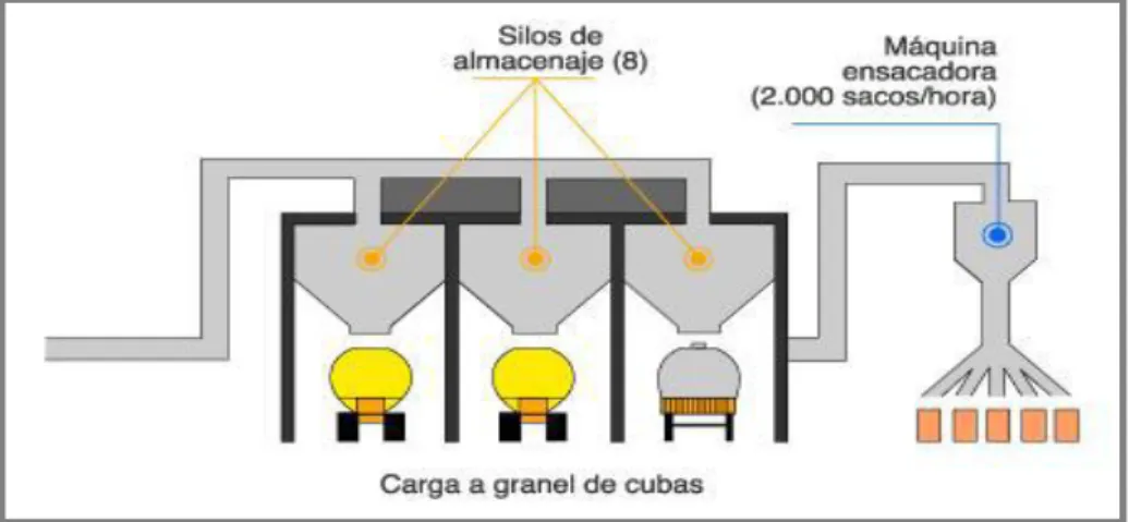 Gráfico 7. Expedición