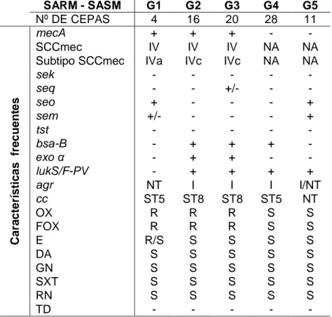 Tabla 7. Descripción molecular y fenotípica de los principales pulsotipos obtenidos por PFGE al   comparar las cepas de S
