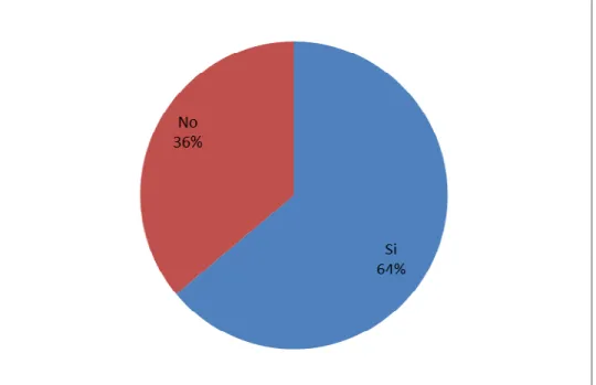 Gráfico 8. Tenencia de página web. 