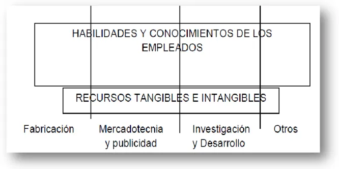 Figura 4. Capacidades 