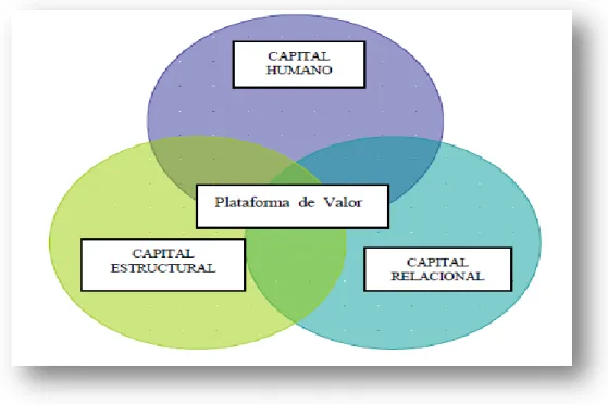 Figura 7. Componentes del capital intelectual 