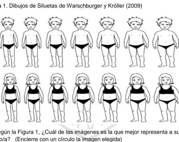 Figura 1. Dibujos de Siluetas de Warschburger y Kröller (2009) 