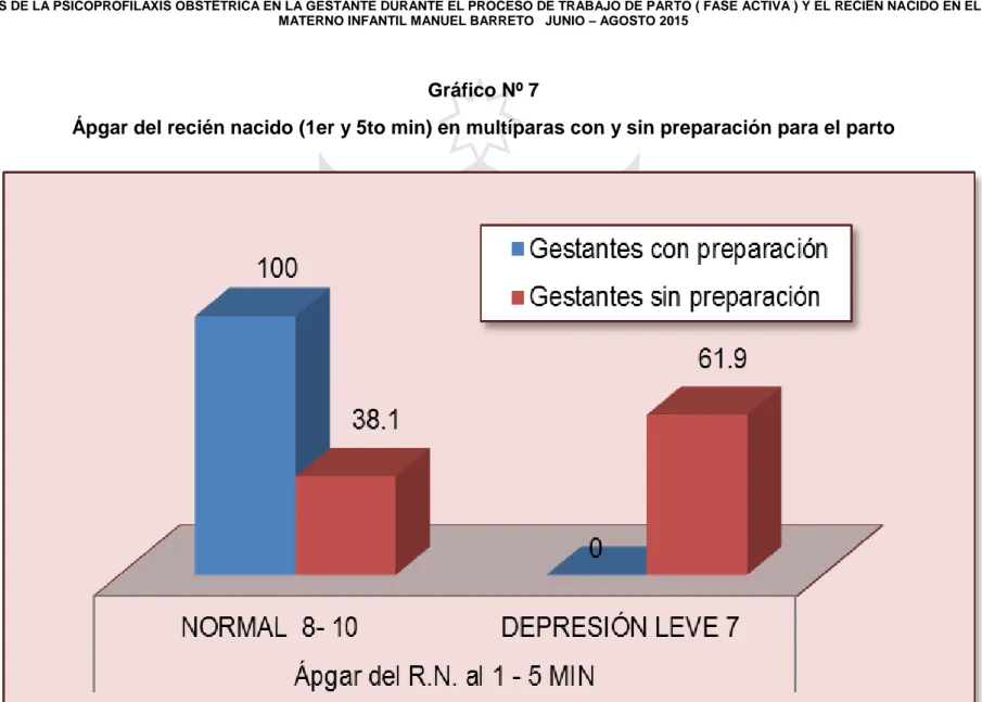 Gráfico Nº 7 