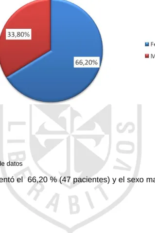 GRÁFICO Nº1 