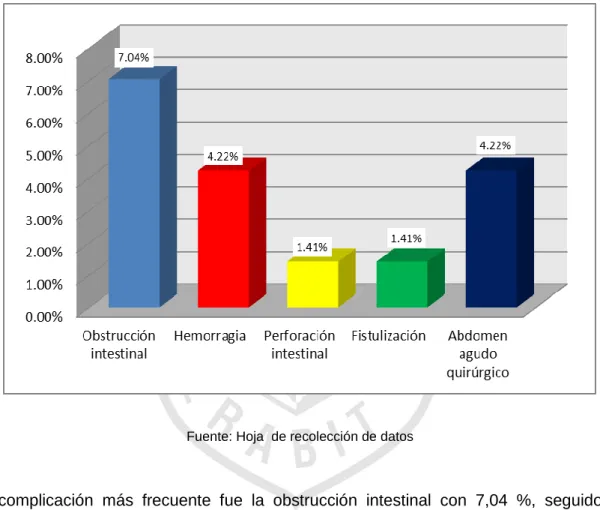 GRÁFICO Nº5 