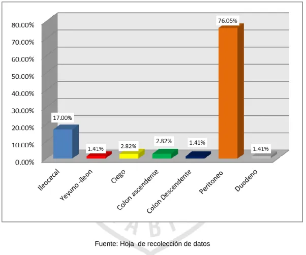 GRÁFICO Nº 6 