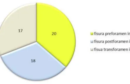Gráfico  5  Distribución  porcentual  de  la  fisura  preforamen  incisivo  de  los  pacientes  con    Fisura  Labio  Alveolo  Palatina  en  el  Servicio  de  Cirugía  Plástica del Hospital Nacional Almanzor Aguinaga en el periodo 2012  – 2014