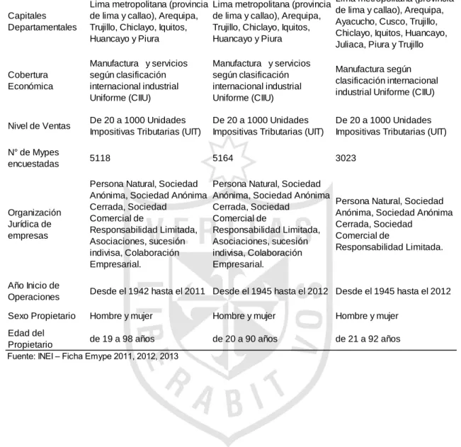 Tabla 8 Descripción de la población encuestada por el INEI 