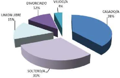 Tabla 4. Nivel Jerárquico