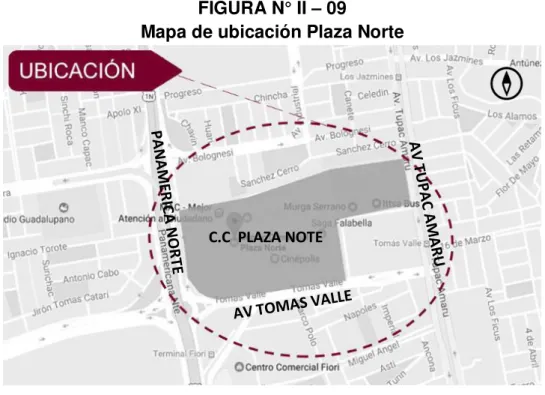 FIGURA N° II  – 09 