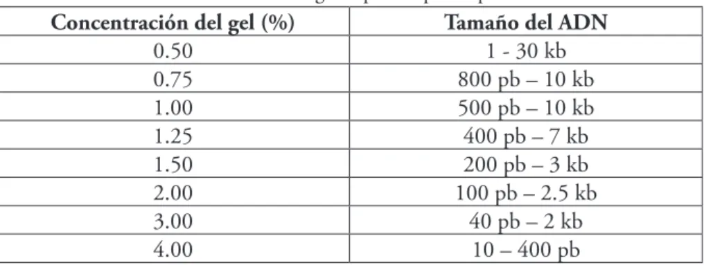 Tabla 2.2. Concentración del gel requerida para separación de ADN.