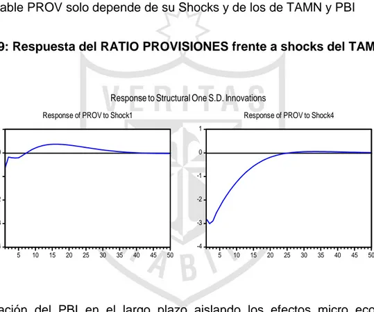 Gráfico 9: Respuesta del RATIO PROVISIONES frente a shocks del TAMN y PBI 